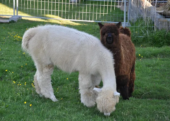 Mayrhofer Διαμέρισμα *