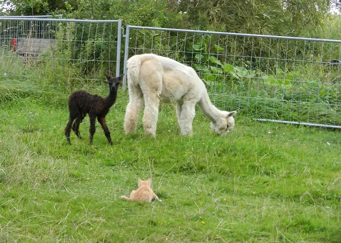 아파트 Mayrhofer *